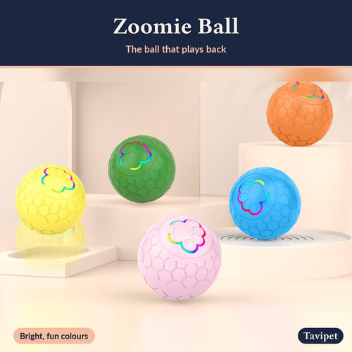 Zoomie Ball in bright colours