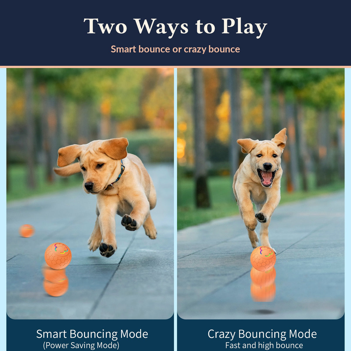 Zoomie Ball smart bounce and crazy bounce modes